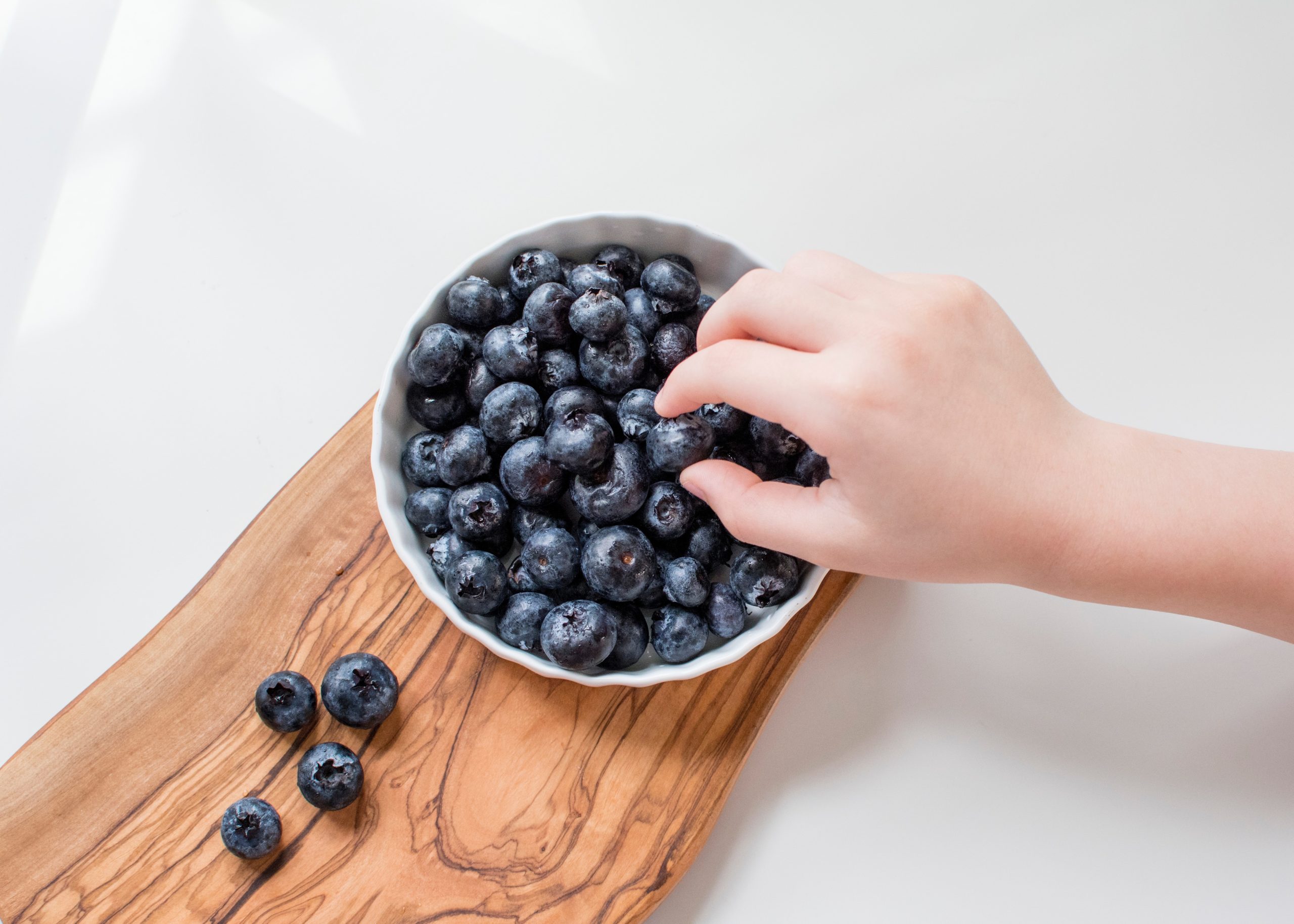 A child's hand receiving sensory stimulation through physical therapy by reaching into a bowl of blueberries.