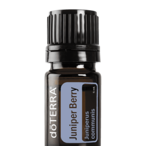 Osteria Juniper Berry Essential Oil, a natural remedy for physical therapy.