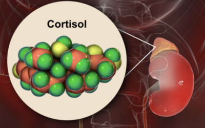 3 Ways To Manage Your Cortisol Levels