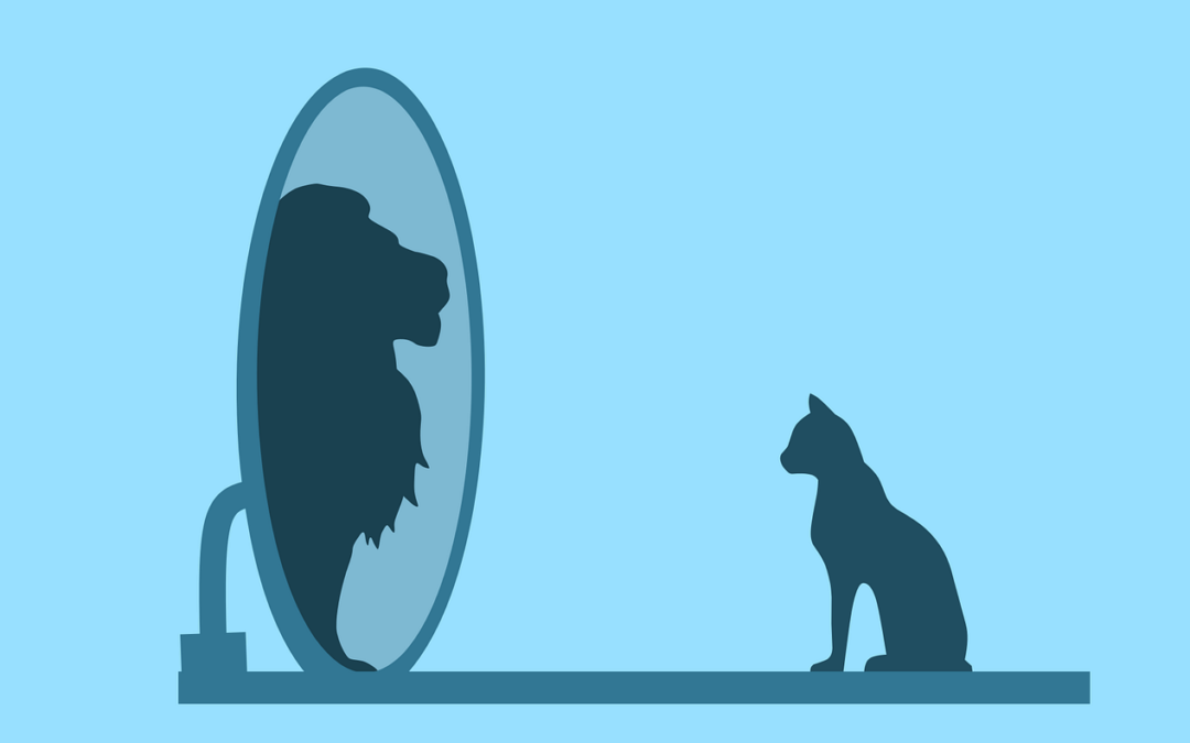 Building Confidence and Self-Esteem through Life Coaching