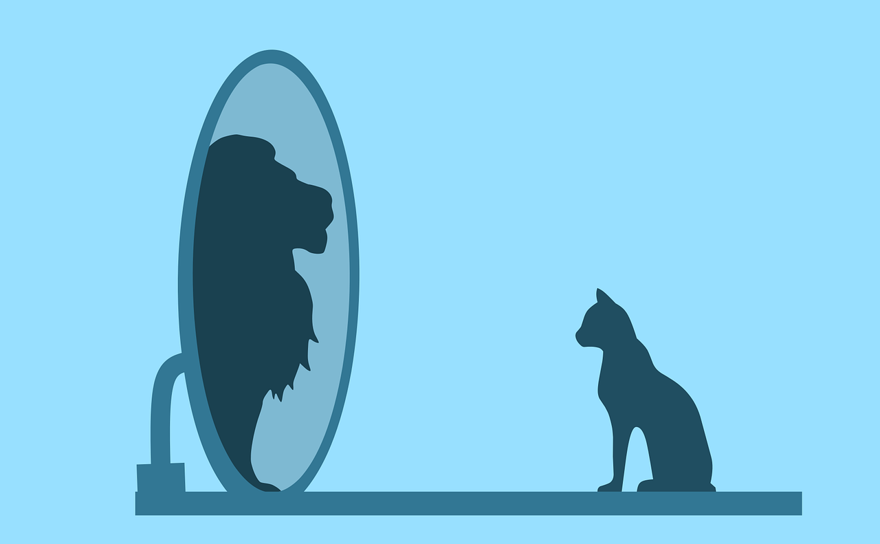 A cat and a lion engaging in physical therapy by looking at each other in a mirror.