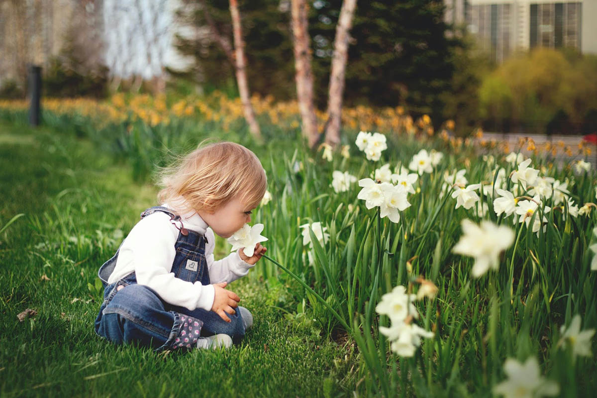 Are You Ready for a Sniffle Free Spring? Here Are Some Natural Allergy Relief Tips!