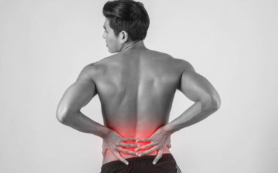 Relieve Back Pain through Motor Control and Hip Mobility
