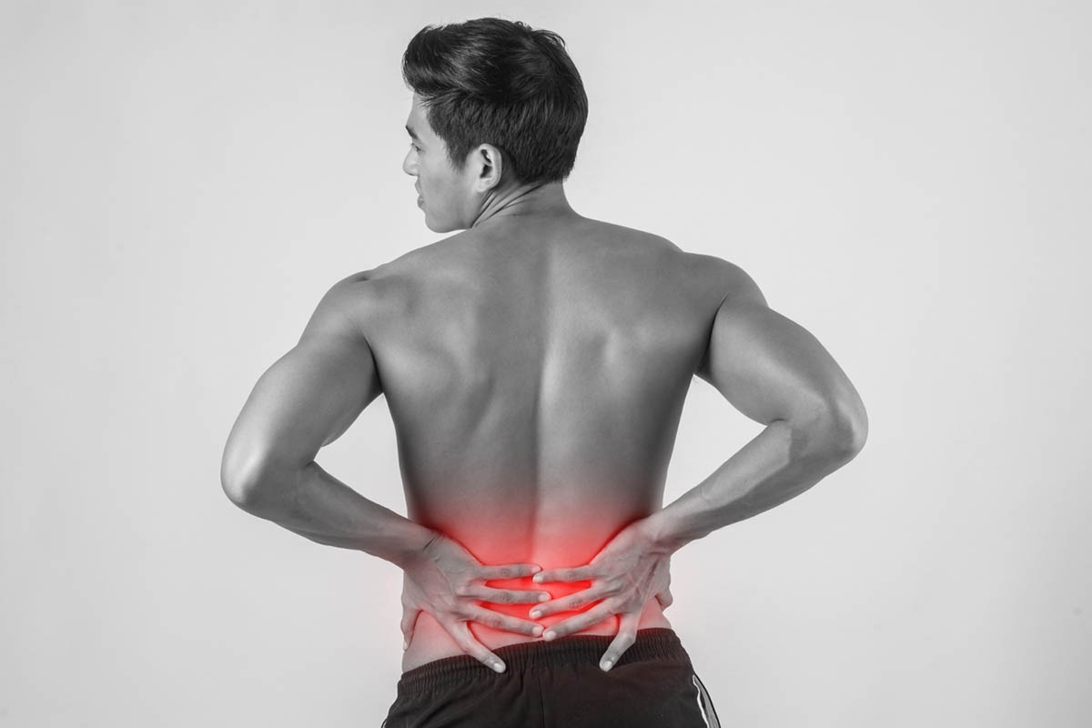 Relieve Back Pain through Motor Control and Hip Mobility