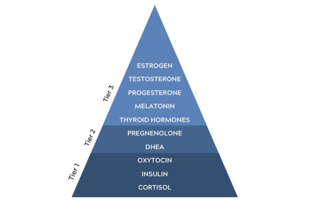 hormone hierarchy affected by weight