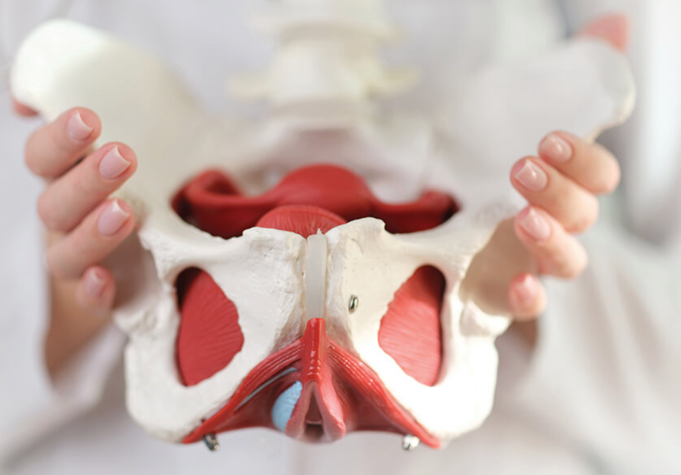 Pelvic Floor Physical Therapy for Painful Sex